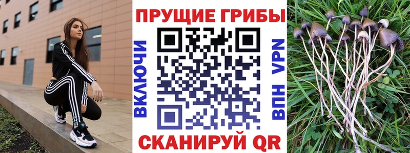 Купить закладки  Бирск  Псилоцибиновые грибы мицелий 
